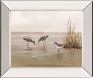 22 in. x 26 in. “Early Risers Il” By Sally Swatland Mirror Framed Print Wall Art