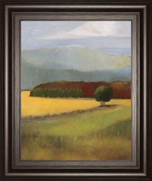 22 in. x 26 in. “Field Of Gold” By Judith D’Agostino Framed Print Wall Art