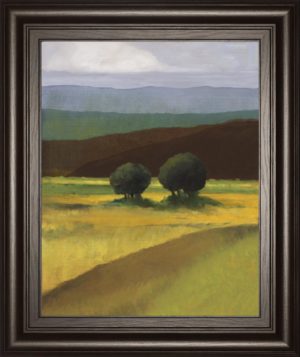 22 in. x 26 in. “Field Of Light” By Judith D’Agostino Framed Print Wall Art