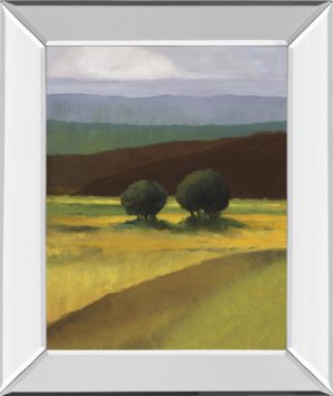 22 in. x 26 in. “Field Of Light” By Judith D’Agostino Mirror Framed Print Wall Art