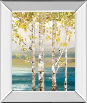 22 in. x 26 in. “Down” By The River” By Allison Pearce Mirror Framed Print Wall Art