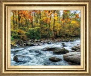 22 in. x 26 in. “Painted Autumn” By D. Burt Framed Print Wall Art