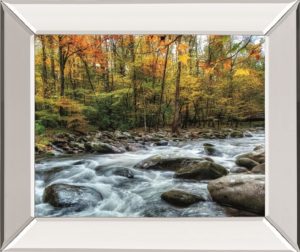 22 in. x 26 in. “Painted Autumn” By D. Burt Mirror Framed Print Wall Art