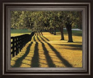 22 in. x 26 in. “Chasing Shadows” By Mike Jones Framed Print Wall Art