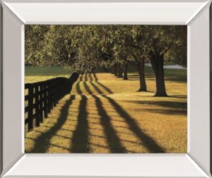 22 in. x 26 in. “Chasing Shadows” By Mike Jones Mirror Framed Print Wall Art