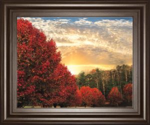 22 in. x 26 in. “Crimson Tress” By Celebrate Life Gallery Framed Print Wall Art
