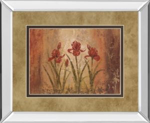 34 in. x 40 in. “The Iris Style” By Vivian Flasch Mirror Framed Print Wall Art