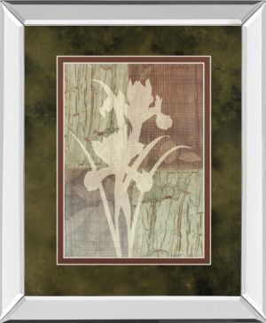 34 in. x 40 in. “Iris Silhouette” By Various Mirror Framed Print Wall Art