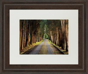 34 in. x 40 in. “Tree Tunnel” By Michael Tunnel And Mossy Oak Native Living Framed Print Wall Art