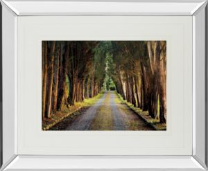34 in. x 40 in. “Tree Tunnel” By Michael Tunnel And Mossy Oak Native Living Mirror Framed Print Wall Art