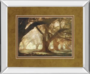 34 in. x 40 in. “Oak Alley Morning Light” By William Guion Mirror Framed Print Wall Art