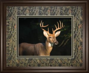 34 in. x 40 in. “White Tail Buck” By Tony Campbell Double Matted Framed Print Wall Art