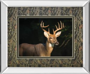 34 in. x 40 in. “White Tail Buck” By Tony Campbell Double Matted Mirror Framed Print Wall Art