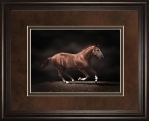 34 in. x 40 in. “Stallion On Black” By Edoma Photo Framed Print Wall Art