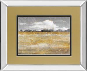34 in. x 40 in. “Meadow Shimmer Il” By Nan Mirror Framed Print Wall Art
