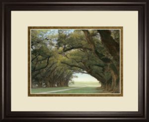 34 in. x 40 in. “Alley Of The Oaks” By William Guion Framed Print Wall Art