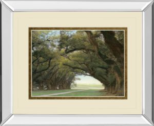 34 in. x 40 in. “Alley Of The Oaks” By William Guion Mirror Framed Print Wall Art