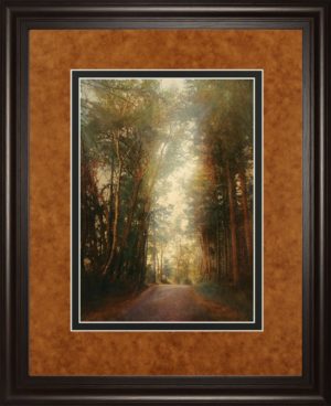 34 in. x 40 in. “Road Of Mysteries Il” By Amy Melious Framed Print Wall Art