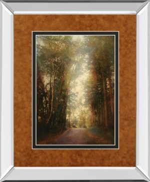 34 in. x 40 in. “Road Of Mysteries Il” By Amy Melious Mirror Framed Print Wall Art