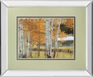 34 in. x 40 in. “Birch Beauty” By Mike Jones Mirror Framed Print Wall Art