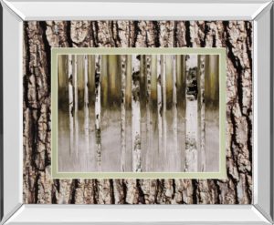 34 in. x 40 in. “Fern Creek” By Susan Jill Double Matted Mirrored Framed Wall Art