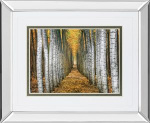 34 in. x 40 in. “Tree Farm” By Cahill Mirror Framed Print Wall Art