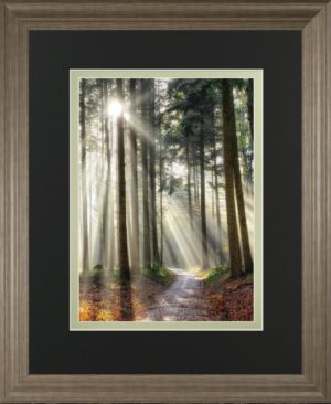 34 in. x 40 in. “Turning Left Can Be Right” By Lars Van De Goor Framed Print Wall Art