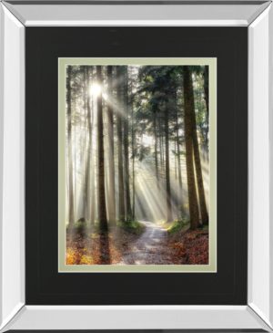 34 in. x 40 in. “Turning Left Can Be Right” By Lars Van De Goor Mirror Framed Print Wall Art