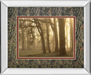 34 in. x 40 in. “Woodland Sweep” By Dennis Frate Mirror Framed Print Wall Art