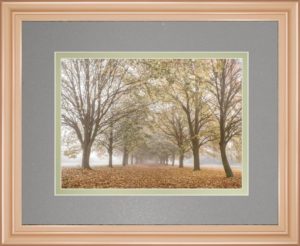 34 in. x 40 in. “Autumn’s Peace” By Frank A Framed Print Wall Art