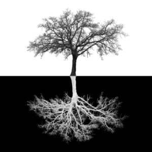 FRAMED SMALL – INVERSE TREE