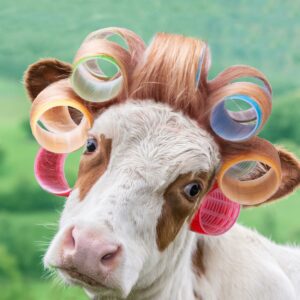 FRAMED – COW IN CURLERS BY A.V. ART