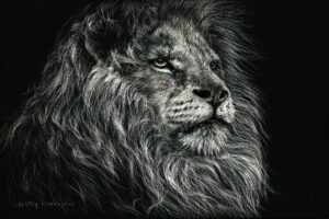 FRAMED – AFRICAN LION BY LESLEY HARRISON