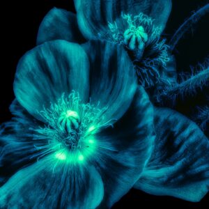 Tempered Glass W/Foil – Skeleton Flower