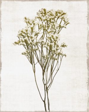 SMALL – FARMHOUSE PRESSED FLOWER II BY NATALIE CARPENTIERI
