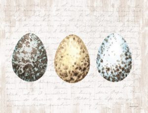 FRAMED SMALL – SPECKLED EGGS BY LETTERED & LINED