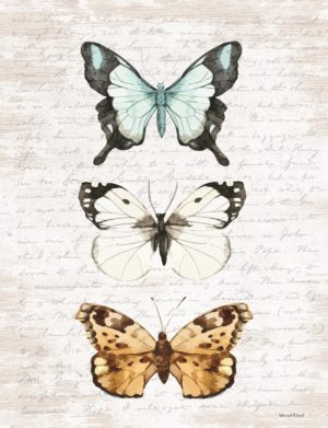 SMALL – BUTTERFLY TRIO BY LETTERED & LINED