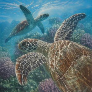 FRAMED SMALL – SEA TURTLES BY COLLIN BOGLE