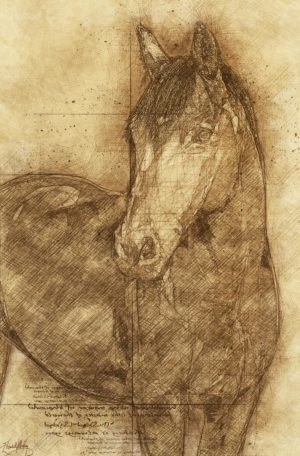 FRAMED SMALL – SKETCHED HORSE BY ELIZABETH MEDLEY