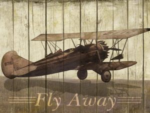 FRAMED SMALL – FLY AWAY BY MERRI PATTINIAN