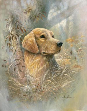 FRAMED SMALL – GOLDEN BEAUTY BY RUANE MANNING