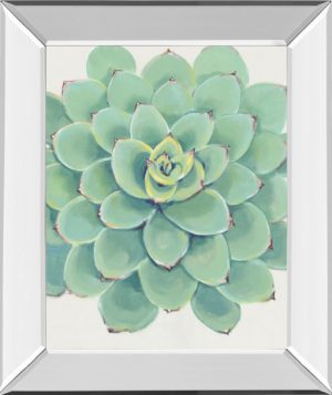 Pastel Succulent III BY Tim OToole
