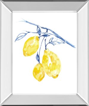 Watercolor Lemons II BY Jennifer Goldberger