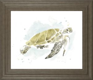 Watercolor Sea Turtle Study I BY June Erica Vess