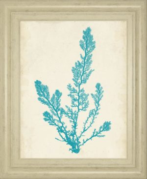 Aquamarine Seaweed VI BY Vision Studio