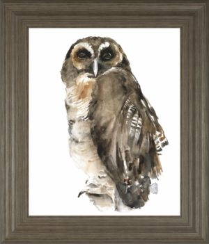 Watercolor Owl I BY Jennifer Paxton Parker