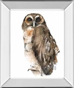 Watercolor Owl I BY Jennifer Paxton Parker