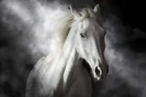 Temp Glass w/ Foil – Mystical White Horse