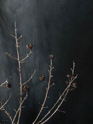 Branches in Noir I by Jennifer Rigsby (FRAMED)