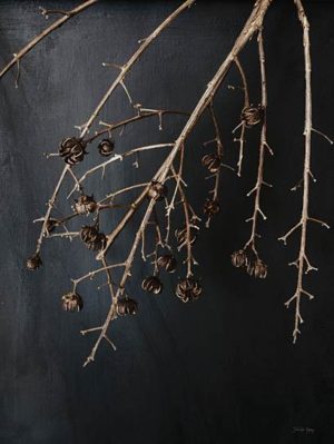 Branches in Noir II by Jennifer Rigsby (FRAMED)